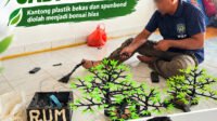 Crafting Plastic Bonsai_ Creative Renewal4