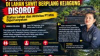 Indonesian Palm Plantation Investigation Poster4