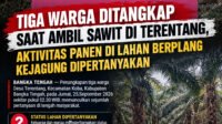 Infografik Penyitaan Lahan Sawit di Bangka Tengah4